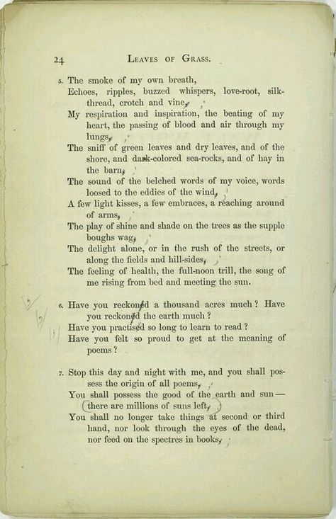 Leaves of grass Eating Poetry, Leaves Of Grass Walt Whitman, Quotes Bukowski, Walt Whitman Poems, Walt Whitman Quotes, Leaves Of Grass, Walt Whitman, Poetry Collection, Literary Quotes