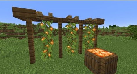 Minecraft Barrel Ideas, Outside Decor Minecraft, Minecraft Indoor Garden, Minecraft Wine Cellar, Minecraft Garden Decorations, Cute Minecraft Decorations, Minecraft Shops Building, Minecraft Vineyard, Minecraft Decorations In Game