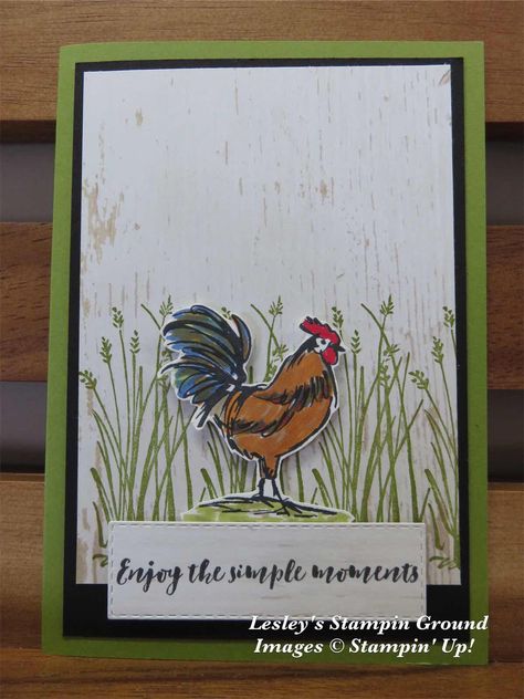 Lesley's Stampin Ground : Home To Roost Animal Cards Handmade, Hey Chuck, Country Morning, Chicken Cards, Egg Farm, Home To Roost, Scrap Cards, Homemade Birthday Cards, Hello Cards