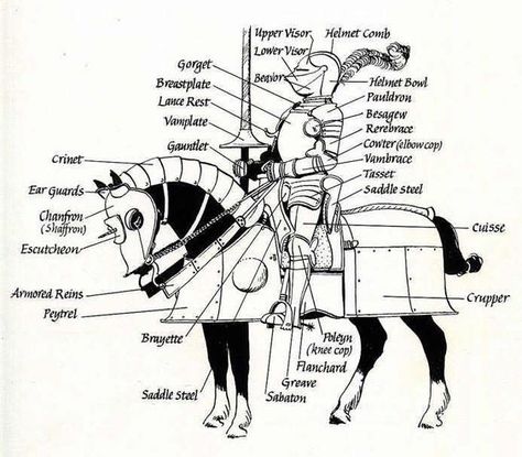 Glossary of the Armor of a Knight and His Horse Armor Anatomy, Gothic Kingdom, Medieval Jobs, Medieval Drawing, Armor Medieval, Medieval Horse, Medieval Era, Horse Armor, Knight Armor