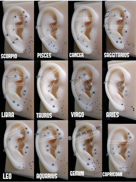 Eat Piercings Chart Names, Ohrknorpel Piercing, Constellation Piercings, Ear Piercings Chart, Piercing Chart, Double Ear Piercings, Casual Punk, Types Of Ear Piercings, Cool Ear Piercings