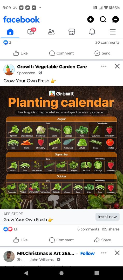 Planting Calendar, Garden Calendar, Garden Vegetables, Garden Care, Grow Your Own, Permaculture, Garden Beds, Vegetable Garden, Plants