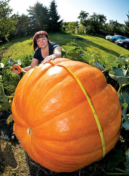 Now’s the time to prepare to grow a monster - CSMonitor.com Giant Vegetable, Giant Pumpkin, Growing Pumpkins, Vegetable Garden Planning, Giant Food, Fruit Plants, Exploring The World, Modern Diy, Fruit And Veg