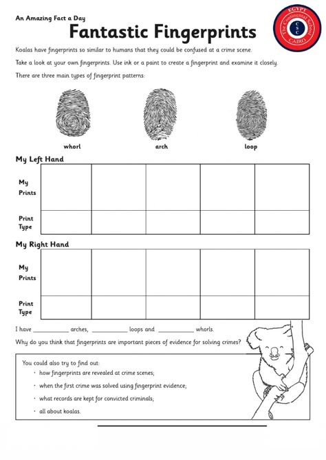 Finger Print Activity For Kids, Finger Print Activity, Spy Camp, Junior Detective, Science Lessons Elementary, States Of Matter Worksheet, Body Science, Easy Kid Activities, Scout Camp