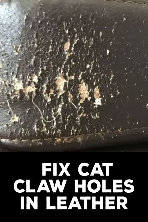 How to Fix Cat Claw Holes in Leather How To Fix Cat Scratches On Leather Couch, Leather Repair Kit, Fix Cat Scratched Furniture, Leather Furniture Decor, Leather Couch Repair, Repair Wood Furniture, Leather Furniture Repair, Couch Repair, Diy Leather Repair