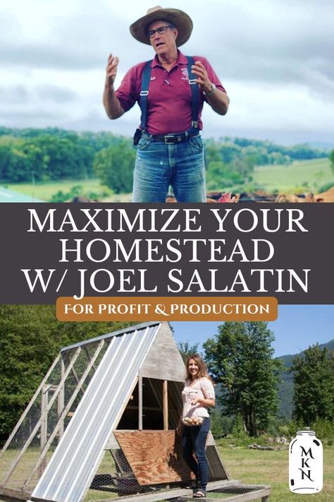 Joel Salatin, Small Homestead, Raising Farm Animals, Homesteading Diy, Backyard Chicken Farming, Farm Plans, Homestead Farm, Farm Business, Vegetable Garden Diy