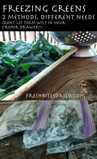 Freezing Vegetables, Csa Recipes, Freeze Greens, Frozen Veggies, Freezer Cooking, Garden Recipes, Swiss Chard, Chard, Canning Recipes