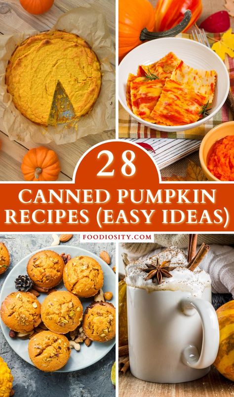 Pumpkin Recipes For Dinner, Canned Pumpkin Recipes Easy, Pumpkin Recipes Dinner, Canned Pumpkin Recipes, Fall Recipes Pumpkin, Pumpkin Delight, Winter Meals, Pumpkin Hummus, Pumpkin Recipes Easy