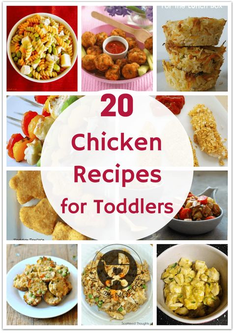 If you've been looking for chicken recipes to feed your little one, look no more! Here are 20 healthy chicken recipes for toddlers and the whole family! Chicken Recipes For Toddlers, Toddler Chicken Recipes, Recipes For Toddlers, Chicken Recipes For Kids, Toddler Dinner, Chicken Lunch, Cooked Chicken Recipes, Quick Chicken Recipes, Ground Chicken Recipes