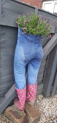 Woman creates incredible plant holder out of an old pair of JEANS - and people think it’s brilliant Boot Planters Diy, Garden Corner Ideas, Upcycled Planters, Types Of Gardens, Summer Flower Pots, Lavender Bush, Gardening Crafts, Boots Diy, Old Bras