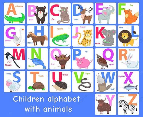 Alphabet With Animals, X Alphabet, Animals Poster, Animal Posters, Template Download, Poster Template, Ipa, Koala, Free Png