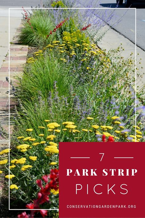 flip-your-strip Drought Tolerant Landscape Front Yard, California Landscaping, Sidewalk Landscaping, Waterwise Landscaping, Xeriscape Landscaping, Landscape Park, Water Wise Landscaping, Drought Tolerant Landscape, Rock Garden Landscaping