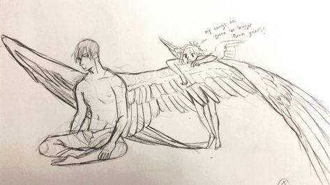 shitty bird kids are the actual worst. especially the competetive ones How To Draw Wings, Draw Wings, Winged People, Bird People, Wings Drawing, Wings Art, Anatomy Art, Art Poses, Drawing Base