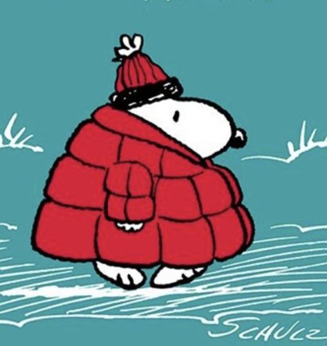 Red Puffer Jacket, Red Puffer, Arte Van Gogh, Snoopy Wallpaper, Valentine Stickers, Snoopy Pictures, Snoopy Woodstock, Snoopy Love, Snoopy Christmas