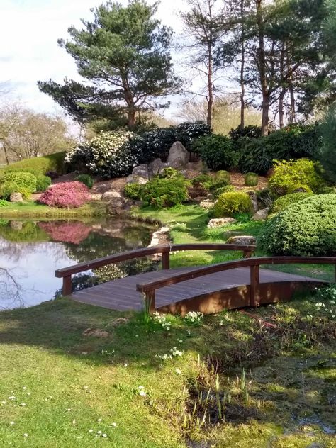 Looking at Japanese and Chinese gardens to design an English 'stroll garden' in miniature Chinese Garden Landscape, Japanese Style Garden, Sacred Garden, Temple Gardens, Japanese Temple, Asian Garden, Small Shrubs, Stone Path, Chinese Garden