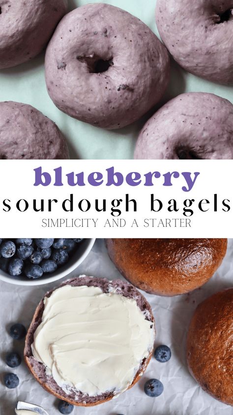 Blueberry Bagels Recipe, Blueberry Bagels, Sourdough Blueberry, Blueberry Bagel, Recipe Using Sourdough Starter, Bagels Recipe, Sourdough Bagels, Sourdough Starter Discard Recipe, Homemade Sourdough Bread