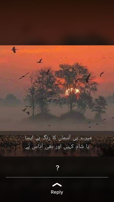 Sham Poetry, Urdu Poetry Ghalib, Love Quotes In Urdu, Poetry Pic, Mom And Dad Quotes, Urdu Shayri, Love Quotes Photos, Poetry Quotes In Urdu, Dear Self Quotes