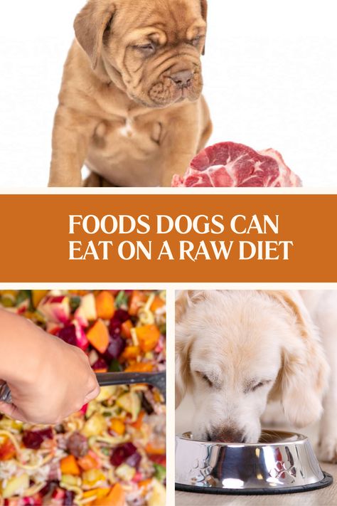 Not sure which Foods Dogs Can Eat on a Raw Dog Food plan? Visit this page for a complete list of safe and nutritious foods for your dog’s raw diet. Be sure to pin this for easy access to healthy meal ideas! 🐩🥦 Raw Diet For Puppies, Diy Raw Dog Food Recipes, Raw Diet For Dogs, Raw Food For Dogs, Raw Food Diet For Dogs, Dog Raw Diet, Foods Dogs Can Eat, Raw Dog Food Diet, Raw Dog Food