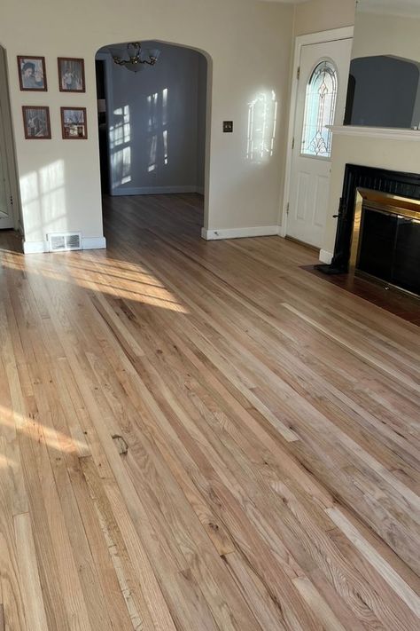 Dark Gray Carpet, Refinish Hardwood Floors, Hardwood Floor Stain Colors, Original Hardwood Floors, Oak Floor Stains, Staining Wood Floors, Diy Hardwood Floors, Wood Floor Stain Colors, Natural Oak Flooring