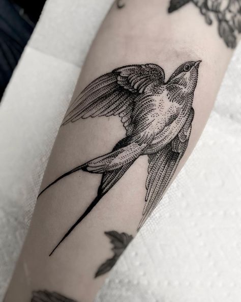 BRANDON BADRICK on Instagram: “⏰ 2.5 hours ⁣ ⁣ ⚫️All information is located at the top of my Instagram page in the story highlight section.⁣ ⁣ ⚫️To schedule an…” Swallow Tattoo Design, Flower Tattoo On Ribs, Hawk Tattoo, Filigree Tattoo, Tattoo Dotwork, Swallow Tattoo, Western Tattoos, Flash Tattoo Designs, Inspiration Tattoos