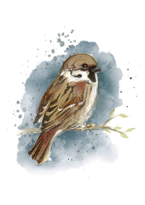 Watercolor Sparrow | digital art and simulated watercolor | Procreate app Watercolor Sparrow, Sparrow Watercolor, Sparrow Painting, Watercolor Procreate, Watercolor Birds Tutorial, Sparrow Drawing, Sparrow Art, Watercolor Paintings Nature, Travel Art Journal