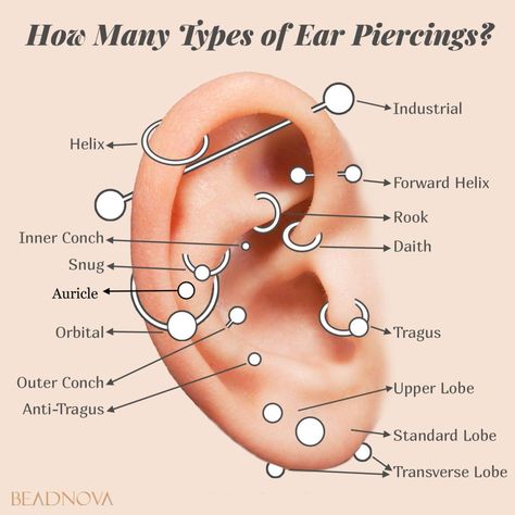 SAVE IT! Pain Intensity Ear Piercing Pain Chart (Level 1-10) with Aftercare Tips & Healing Time Ear Piercing Pain Chart, Eyebrow Piercing Horizontal, Piercing Pain Chart, Pierce Hawthorne, Piercing No Rosto, Types Of Body Piercings, Piercing Names, Tongue Web Piercing, Frenulum Piercing