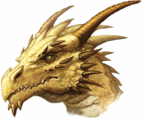 Sand Dragon. usually lives in the desert of whispers. had spiky tail for combat. and breathes weak fire Are Dragons Real, Dragon Medieval, Medieval Dragon, Dragon Face, Yellow Dragon, Dragon Sketch, Dragon Images, Golden Dragon, Gold Dragon