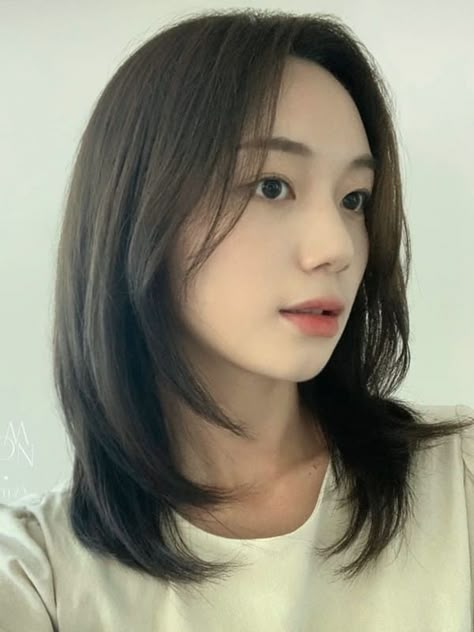 dark ash brown color for layered lob Lisa Ash Brown Hair, Dark Hair Color Ideas Asian, Round Face Korean Hairstyles, Layered Lob Straight Hair, Lob Haircut Asian, Short Hair Front Layers, Short Front Hair, Front Layers Short Hair, Medium Hair Aesthetic