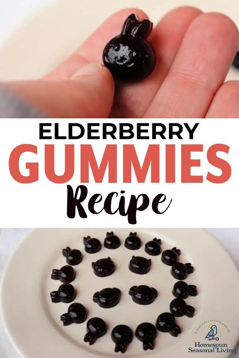 Elderberries are great for boosting the immune system. Turning them into gummies makes for a fun way to protect yourself during the cold season! Click to learn the recipe. Elderberry Gummy Recipe, Elderberry Gummies Recipe, Gummy Snacks, Elderberry Syrup Recipe, Homemade Elderberry, Grass Fed Gelatin, Elderberry Recipes, Gummies Recipe, Elderberry Gummies