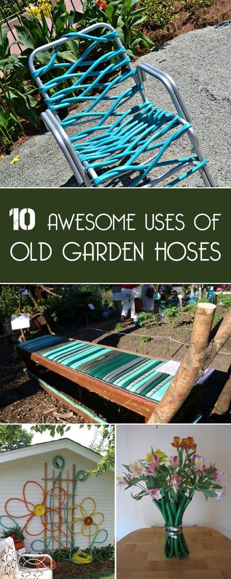 10 Awesome Uses Of Old Garden Hoses Recycled Garden Hose, Recycled Garden Projects, Organization Website, Storage Shed Organization, Indoor Plant Wall, Garden Tool Organization, Old Garden, Shed Organization, Upcycling Projects