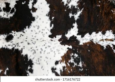 Full Framed Spotted White Brown Cow Stock Photo 1716176722 | Shutterstock Brown Cow, Printed Backgrounds, Full Frame, Cow Print, 3d Objects, Black And Brown, Photo Image, Cow, Royalty Free Stock Photos