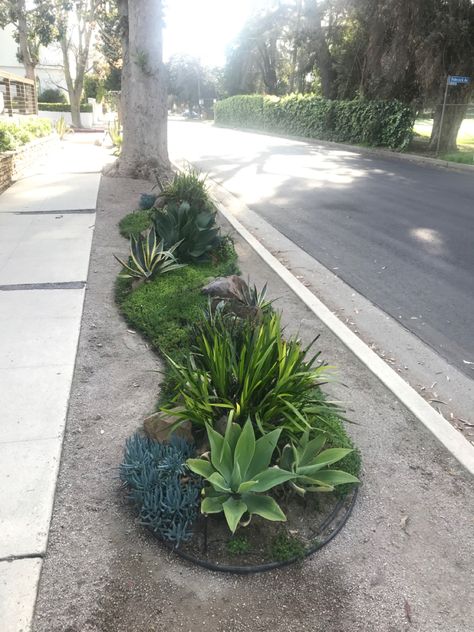 Park Strip Landscaping Ideas, Sidewalk Pavers, Yard Entrance, Sidewalk Landscaping, Rock Yard, Front Landscape, Landscaping Around House, Front Landscaping, Front Yard Landscaping Simple