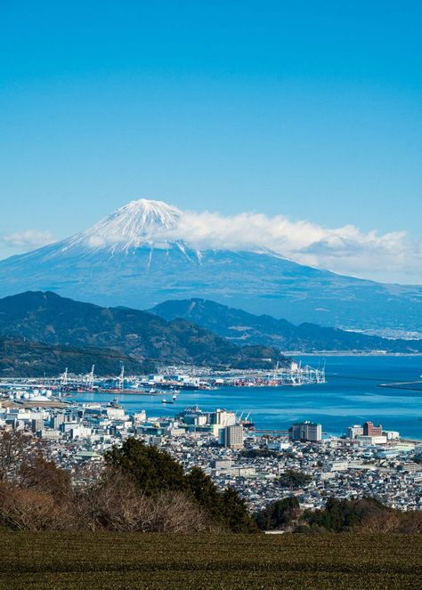 Mt. Fuji and a tea plantage, Shizuoka. Bonsai Making, Tokugawa Ieyasu, Day Trips From Tokyo, Walking For Health, Like Green, Sakura Tree, Tea Tasting, Shizuoka, Easy Day