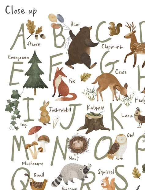 Woodland Theme Nursery, Woodland Baby Nursery, Woodland Alphabet, Nursery Accents, Nursery Accent Wall, Woodland Nursery Theme, Forest Nursery, Theme Nursery, Green Nursery