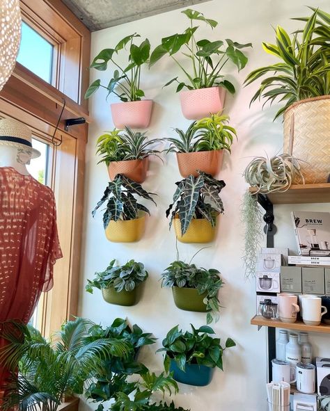 Wall Plants Indoor, Diy Wall Planter, Wall Hanging Decorations, Indoor Plant Wall, Wall Planters Indoor, Herb Wall, Greenery Wall, Living Wall Art, Plant Wall Decor