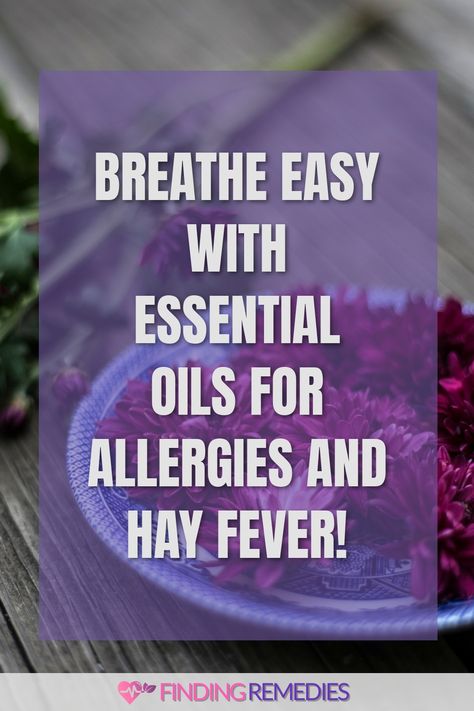 Breathe Easy with Essential Oils for Allergies and Hay Fever! Essential Oils For Allergies Diffuser, Cedar Fever Remedies, Essential Oils For Allergies, Hayfever Remedies, Oils For Allergies, Seasonal Allergy Relief, Relieve Sinus Congestion, Essential Oils Allergies, Seasonal Allergy Symptoms