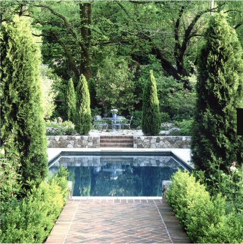 Visual Vamp, Small Inground Pool, Dusty Miller, Beautiful Pools, Inground Pools, Garden Pool, Gorgeous Gardens, Outdoor Swimming, Pool Landscaping