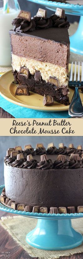 Peanut Butter Chocolate Mousse, Super Torte, Peanut Butter Mousse, Peanut Butter And Chocolate, Peanut Butter Desserts, Chocolate Mousse Cake, Peanut Butter Chocolate, Peanut Butter Recipes, Mousse Cake