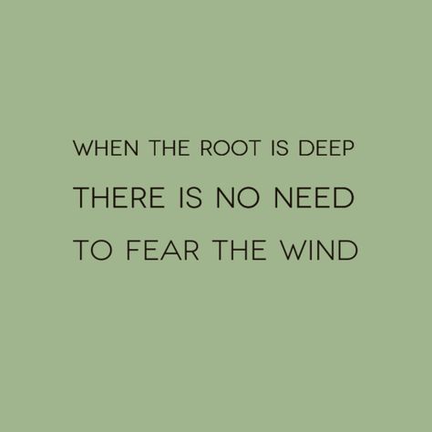 Planting Roots Quotes, Never Forget Your Roots Quotes, Tree Quotes Short, Quotes About Roots, Rooted Quotes, Willow Quote, Rise Up Quotes, Roots Quotes, Wind Quotes