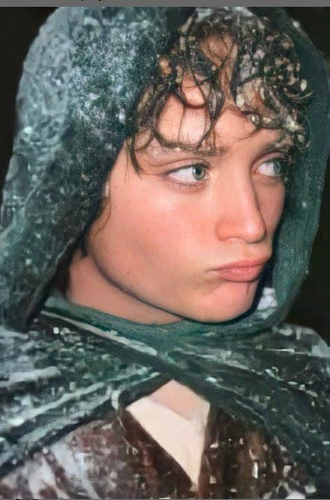 Frodo Baggins, Green