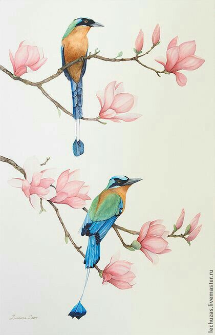 Illustration by Colleen Parker. Bird Drawings, Watercolor Bird, Birds Painting, Bird Art, Chinese Art, Botanical Art, 그림 그리기, Asian Art, Flower Drawing