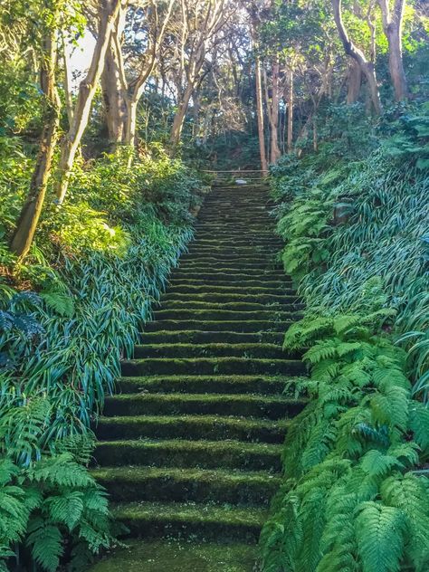 Myoho-ji temple in Kamakura, with fully green moss! Moss Temple, Junior Wells, Sacred Scripture, Kamakura, Buddhist Temple, Hayao Miyazaki, Green Nature, Miyazaki, The Temple