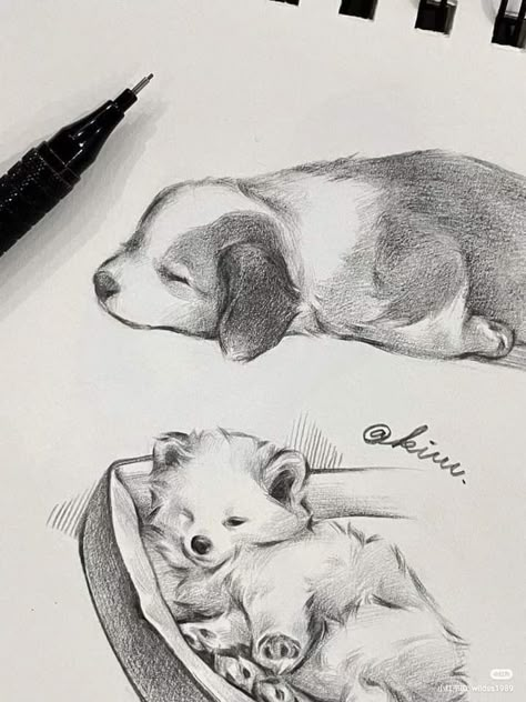 Traditional Sketches, Regard Animal, 얼굴 드로잉, Animal Drawings Sketches, Disney Art Drawings, Cute Sketches, Hilarious Photos, Queer Art, Wildlife Photos