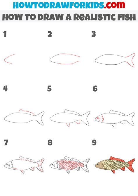 how to draw a realistic fish step by step How To Draw A Fish Step By Step, How To Draw A Fish, Drawing Underwater, How To Draw Fish, Under The Sea Drawings, Easy Fish Drawing, Draw A Fish, Sea Embroidery, Easy Christmas Drawings