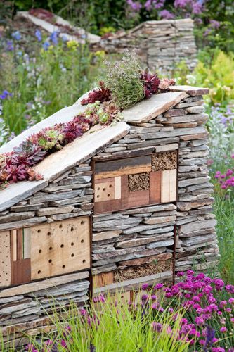 Mosquito Plants, Bug Hotel, Insect Hotel, Mosquito Repelling Plants, Garden Insects, Bee Garden, Wildlife Gardening, Pollinator Garden, Chelsea Flower