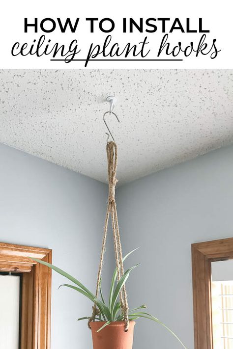 How To Hang Hanging Plants From Ceiling, Plant Ceiling Hanger, House Plant Hanging Ideas, How To Hang Stuff From Ceiling, How To Hang Something From The Ceiling, How To Hang House Plants, Ceiling Hook Ideas, How To Hang From Ceiling, Diy Ceiling Plant Hanger