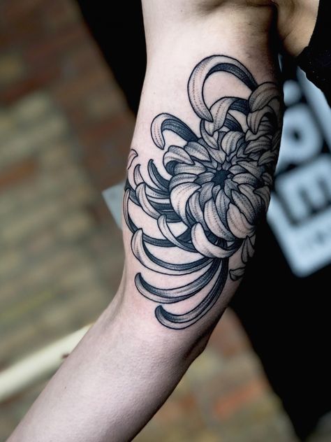 Chrysanthemum Tattoo Men, Traditional Chrysanthemum Tattoo, Black Chrysanthemum Tattoo, Crisantemo Tattoo, Chrysanthemum Tattoo, Devil Tattoo, Marquesan Tattoos, Mens Shoulder Tattoo, Theme Tattoo