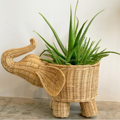 Bringing a touch of nature into every corner 🌿 Grey Wicker Baskets, Elephant Basket, Wicker Easter Basket, Rattan Vase, Outdoor Vases, Newspaper Crafts Diy, Pumpkin Vase, Basket Weaving Diy, Elephant Planters