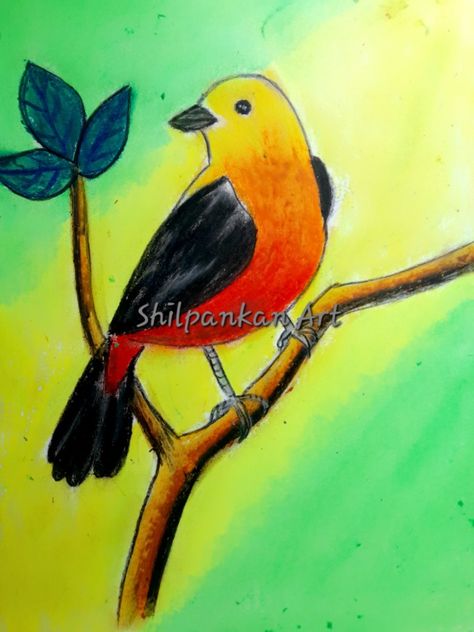 Bird Drawings Oil Pastels, Colour Shading, Scenery Drawing For Kids, Elementary Drawing, Cute Easy Paintings, Soft Pastels Drawing, Oil Pastel Drawings Easy, Buddhist Art Drawing, Drawing Kids