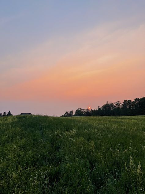 #sunset #summer #summersunset #aesthetic #photography #nature #canada #ontario #field #view #country #wildflowers Summer In Ontario, Ontario Aesthetic, Pretty Views, Southern Ontario, Canada Ontario, Turn Blue, Sunset Summer, Aesthetic Photography Nature, Summer Sunset